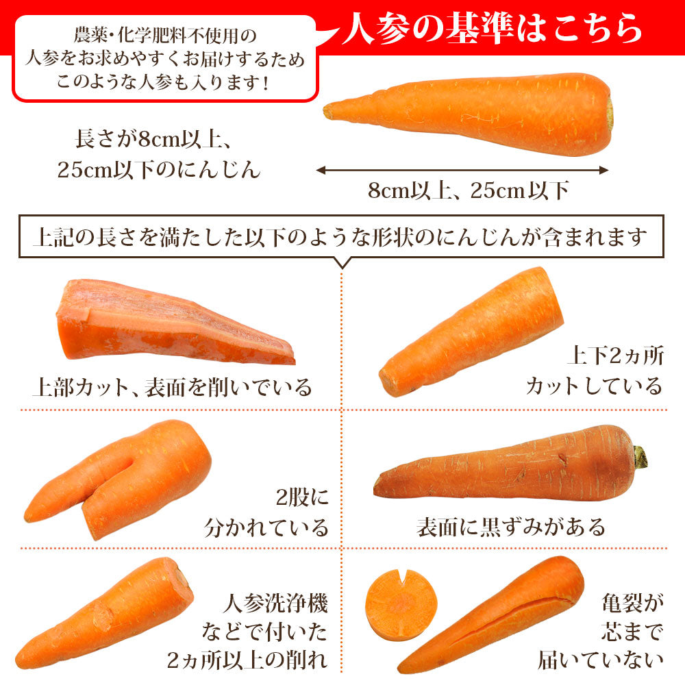 ジュース用 国産 無農薬にんじん 5kg