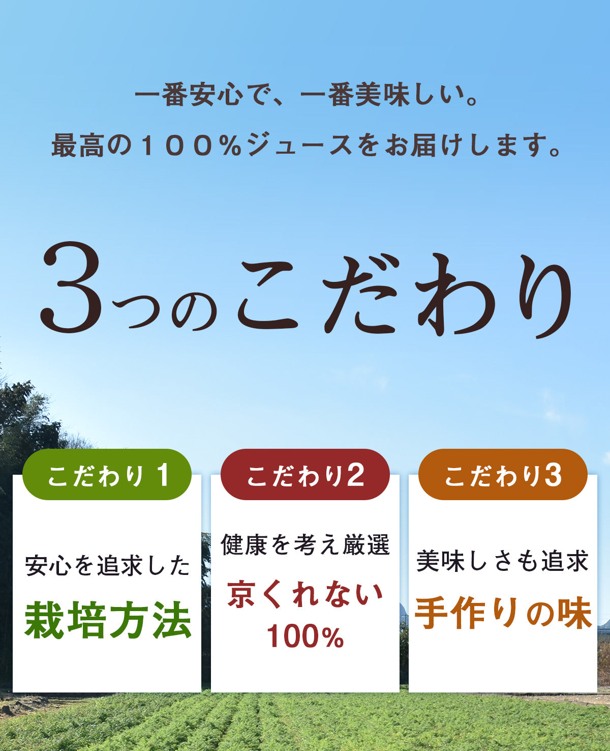ピカベジ とくべつな真・くれない人参ジュース 1箱(100ml×30パック)
