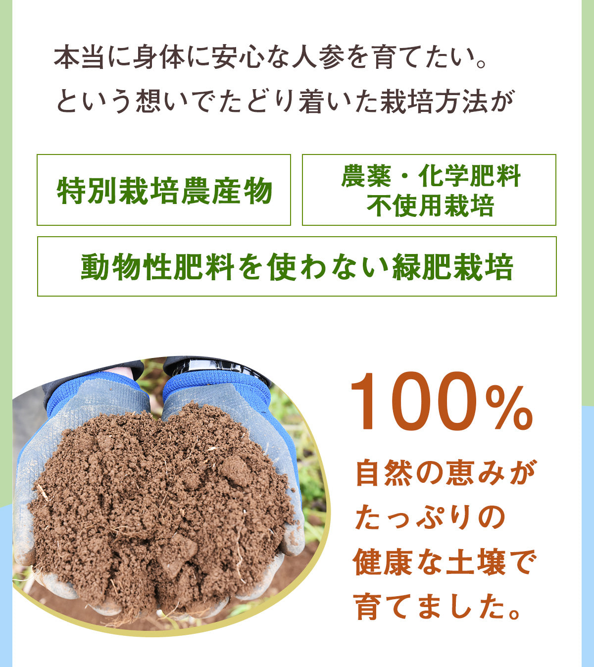 ピカベジ とくべつな真・くれない人参ジュース 1箱(100ml×30パック)