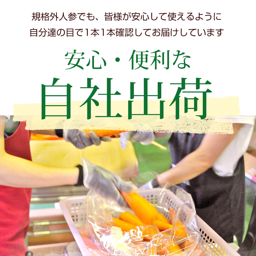 ジュース用 国産 無農薬にんじん 5kg
