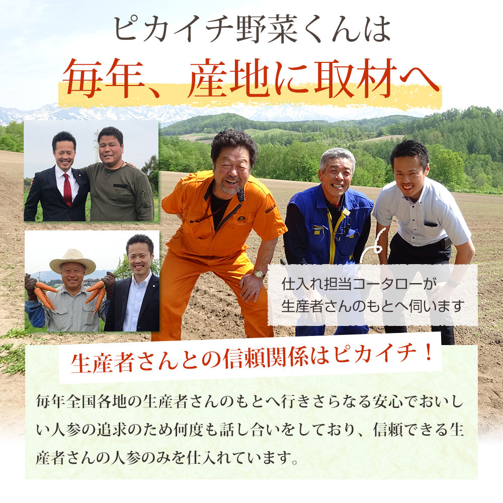 ジュース用 国産 無農薬にんじん 13kg