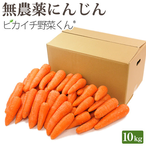 ジュース用 国産 無農薬にんじん 10kg