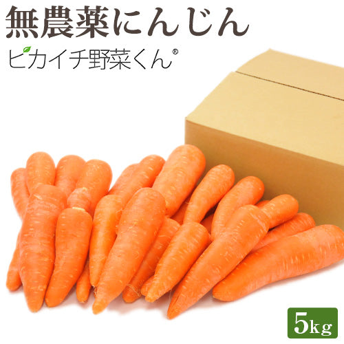 ジュース用 国産 無農薬にんじん 5kg