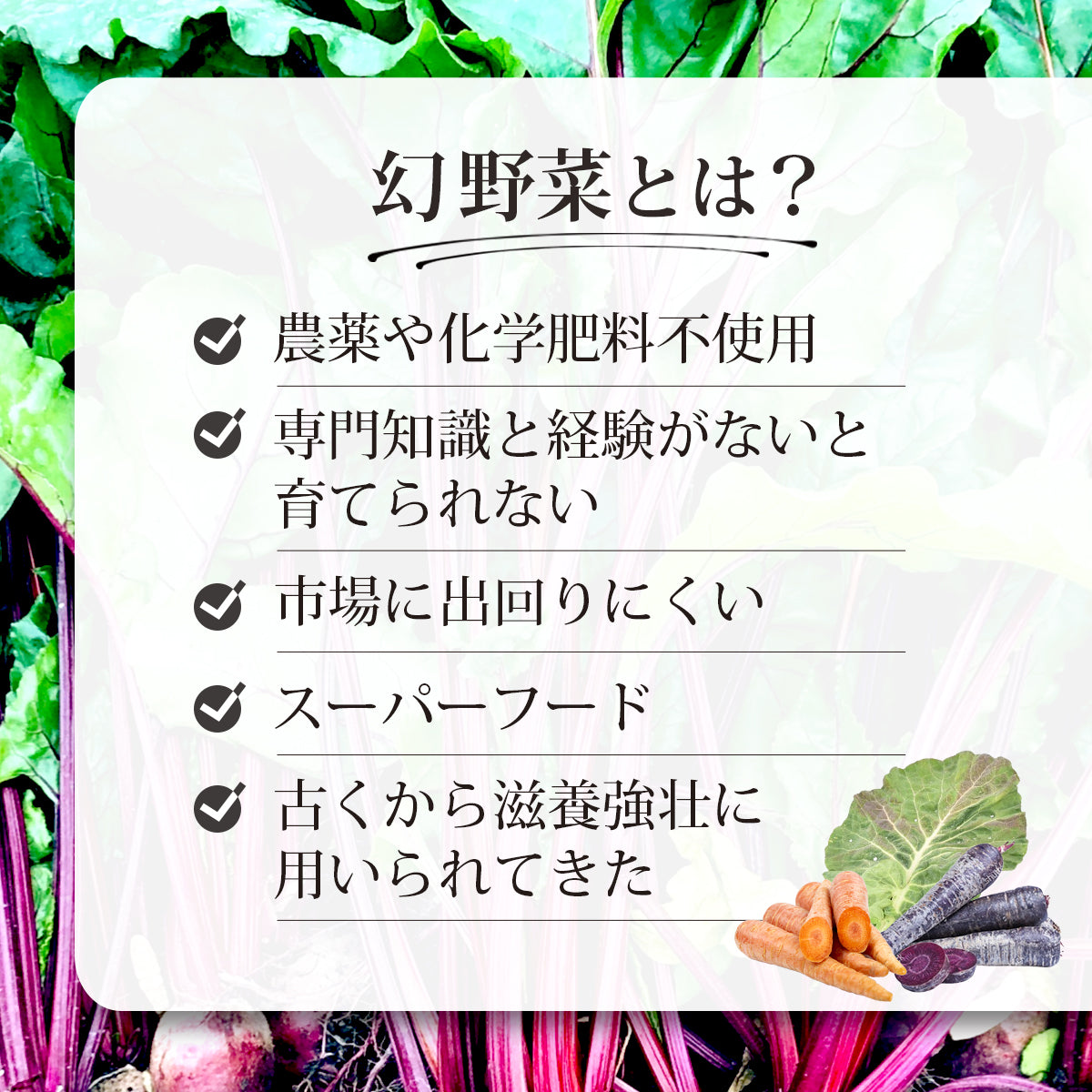 医師監修 ピカベジ ジュースクレンズセット (100ml×20パック)