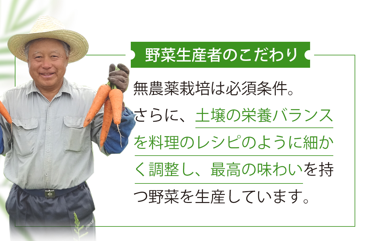 医師監修 ピカベジ ジュースクレンズセット (100ml×20パック)