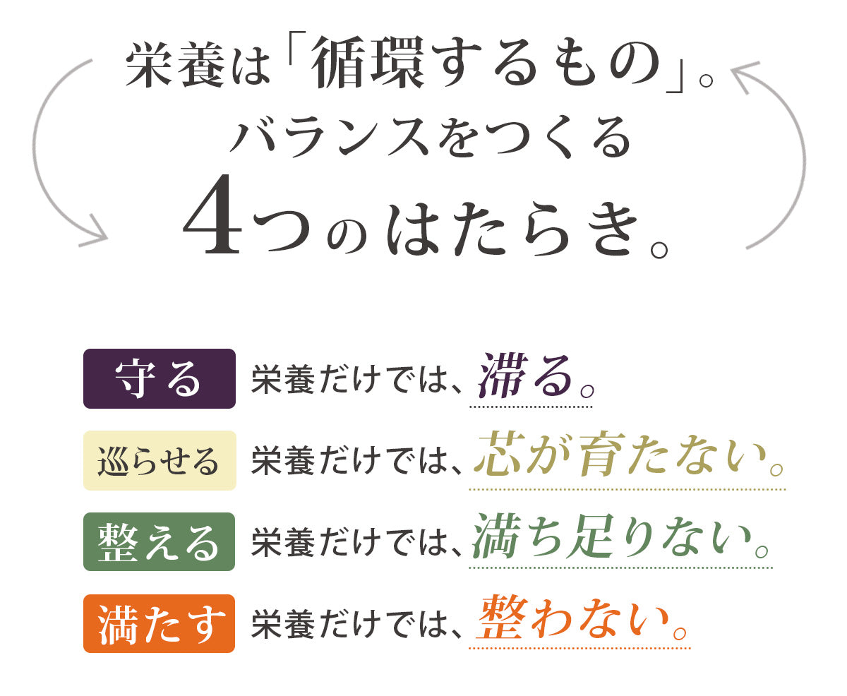 4色めぐりセット (100ml×12パック)