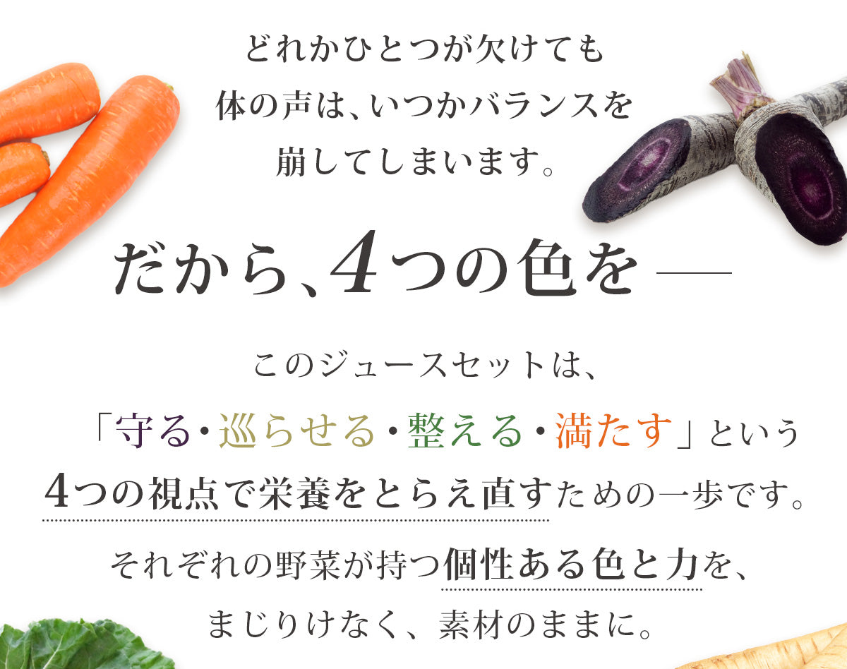 4色めぐりセット (100ml×12パック)
