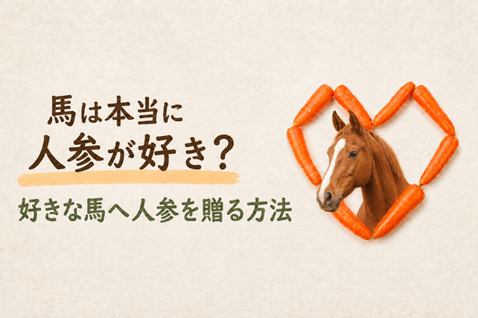 馬は本当に人参が好き？好きな馬へ人参をプレゼントする方法・送り方を紹介