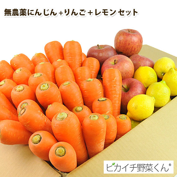 無農薬にんじん＋りんご＋レモンセット 訳あり ジュース用