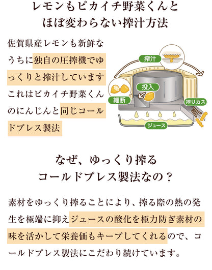 にんじんレモンジュース 100ml×30パック 冷凍 無添加 ストレート