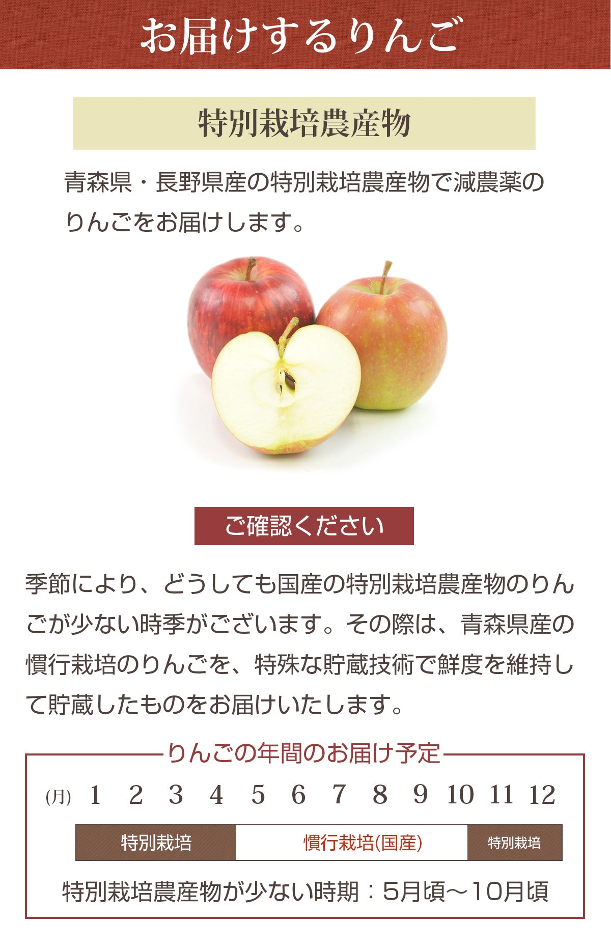 無農薬にんじん＋りんご＋レモンセット 訳あり ジュース用