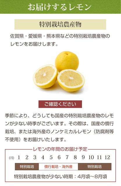 無農薬にんじん＋りんご＋レモンセット 訳あり ジュース用