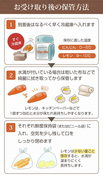 無農薬にんじん＋レモンセット 訳あり ジュース用