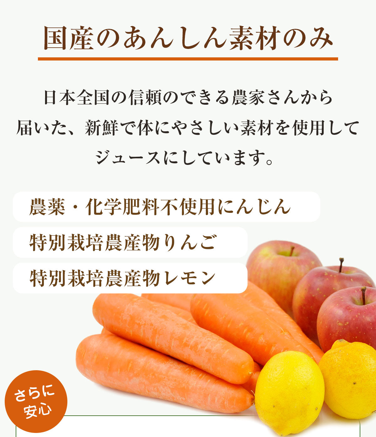 【お試し・ギフト】 無添加 にんじんジュース 飲み比べ セット 3種類 100ml×12パック