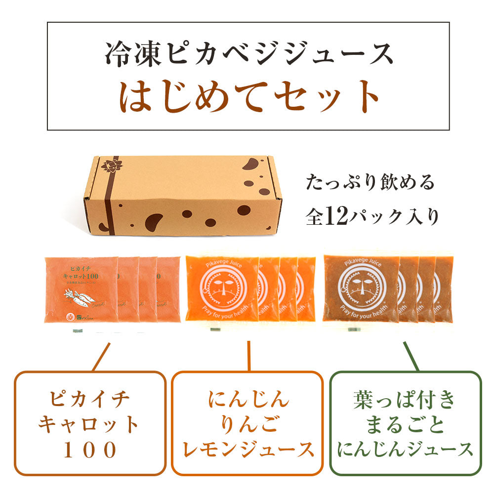 【お試し・ギフト】 無添加 にんじんジュース 飲み比べ セット 3種類 100ml×12パック