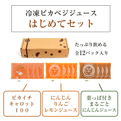 【お試し・ギフト】 無添加 にんじんジュース 飲み比べ セット 3種類 100ml×12パック