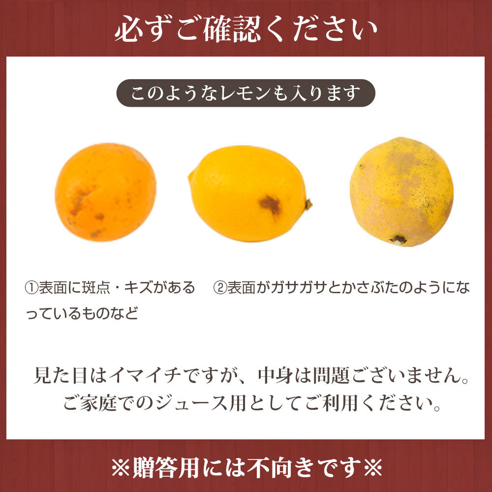 無農薬にんじん＋レモンセット 訳あり ジュース用