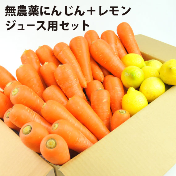 無農薬にんじん＋レモンセット 訳あり ジュース用
