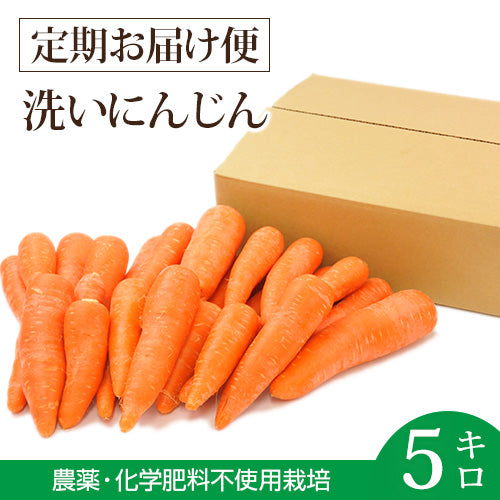 定期購入】ジュース用 国産 無農薬にんじん 5kg – ピカイチ野菜くん