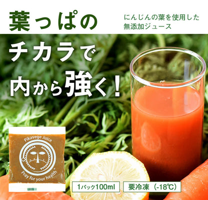 葉っぱ付きまるごと人参ジュース１箱（100ml×30パック） 冷凍 無添加