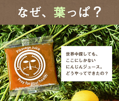 葉っぱ付きまるごと人参ジュース１箱（100ml×30パック） 冷凍 無添加