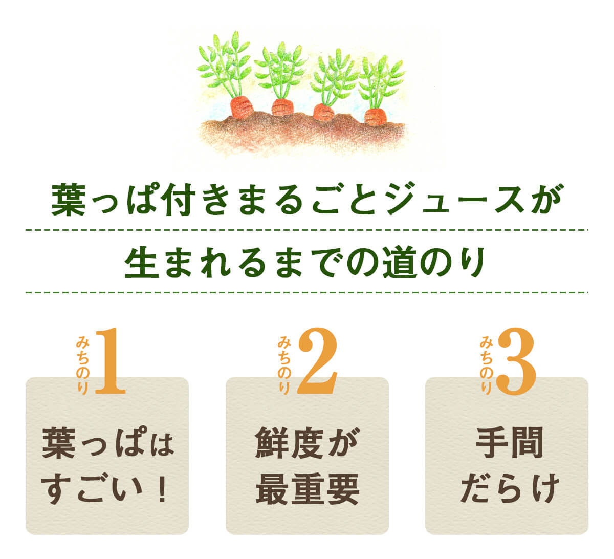 葉っぱ付きまるごと人参ジュース１箱（100ml×30パック） 冷凍 無添加
