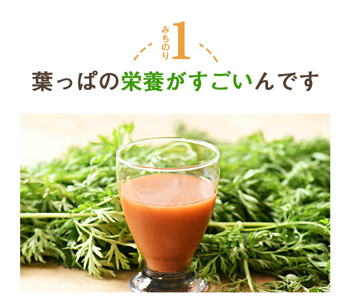 葉っぱ付きまるごと人参ジュース１箱（100ml×30パック） 冷凍 無添加