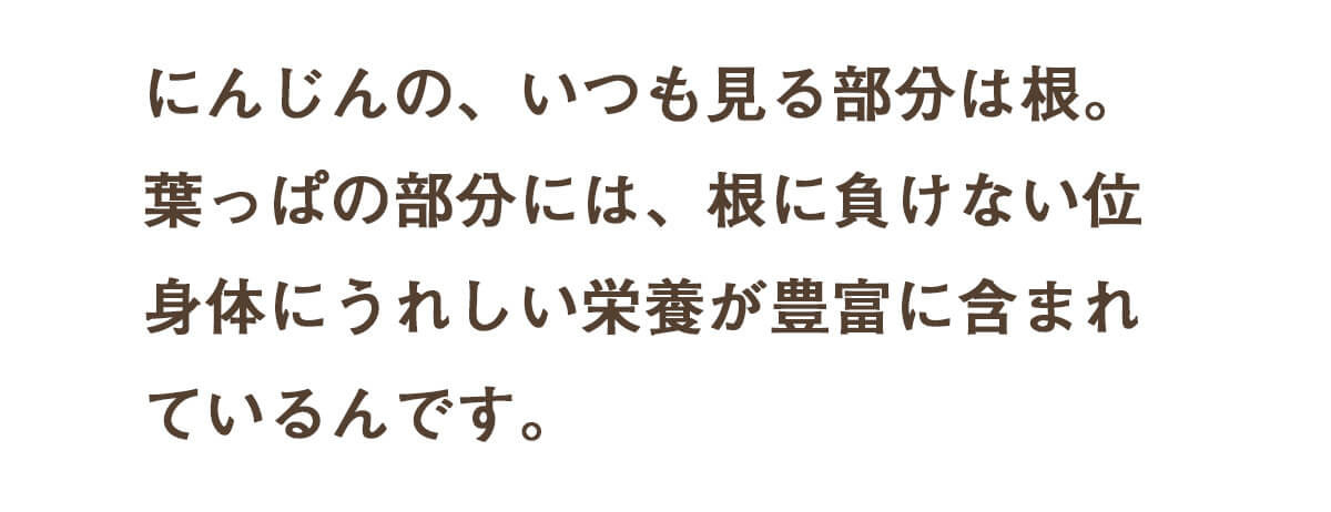 葉っぱ付きまるごと人参ジュース１箱（100ml×30パック） 冷凍 無添加