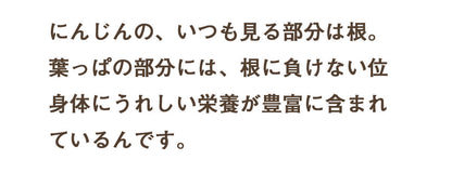 葉っぱ付きまるごと人参ジュース１箱（100ml×30パック） 冷凍 無添加