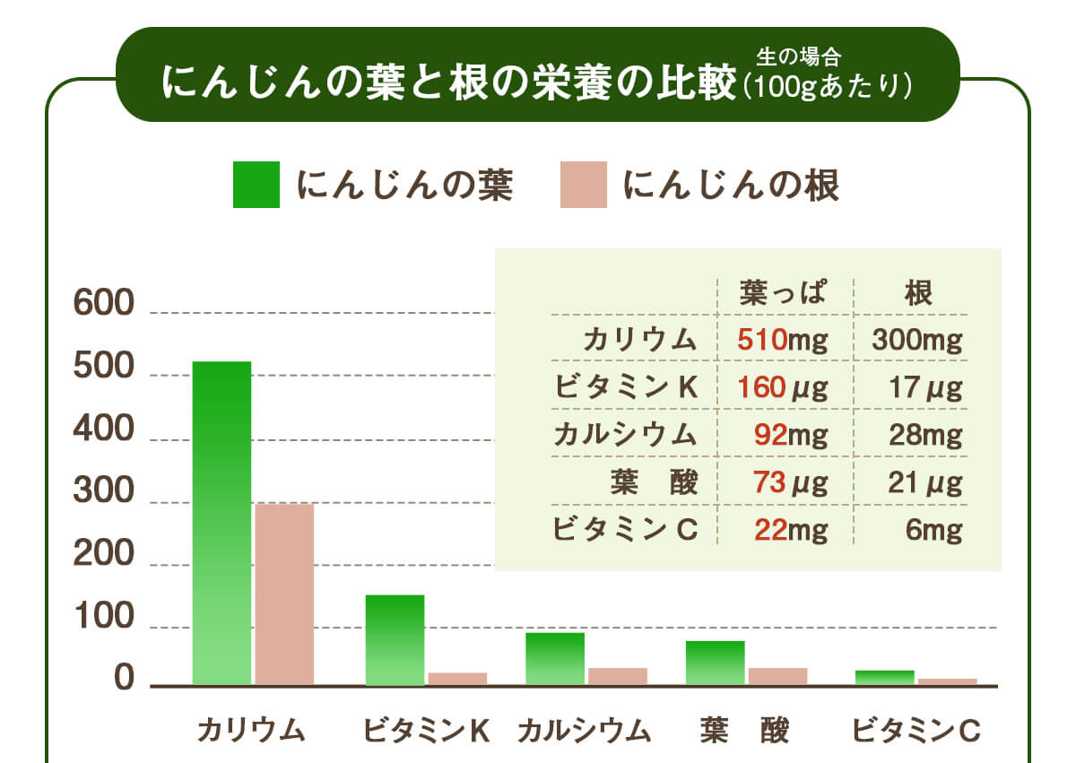葉っぱ付きまるごと人参ジュース１箱（100ml×30パック） 冷凍 無添加