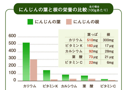 葉っぱ付きまるごと人参ジュース１箱（100ml×30パック） 冷凍 無添加