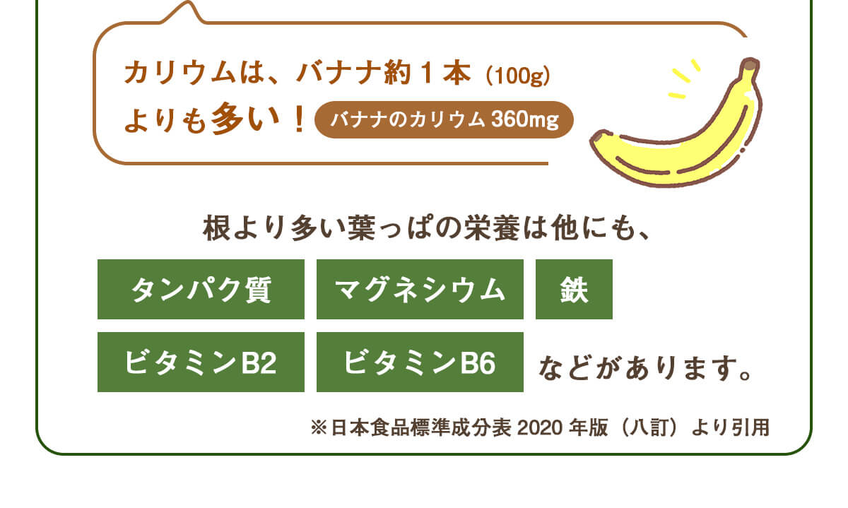 葉っぱ付きまるごと人参ジュース１箱（100ml×30パック） 冷凍 無添加