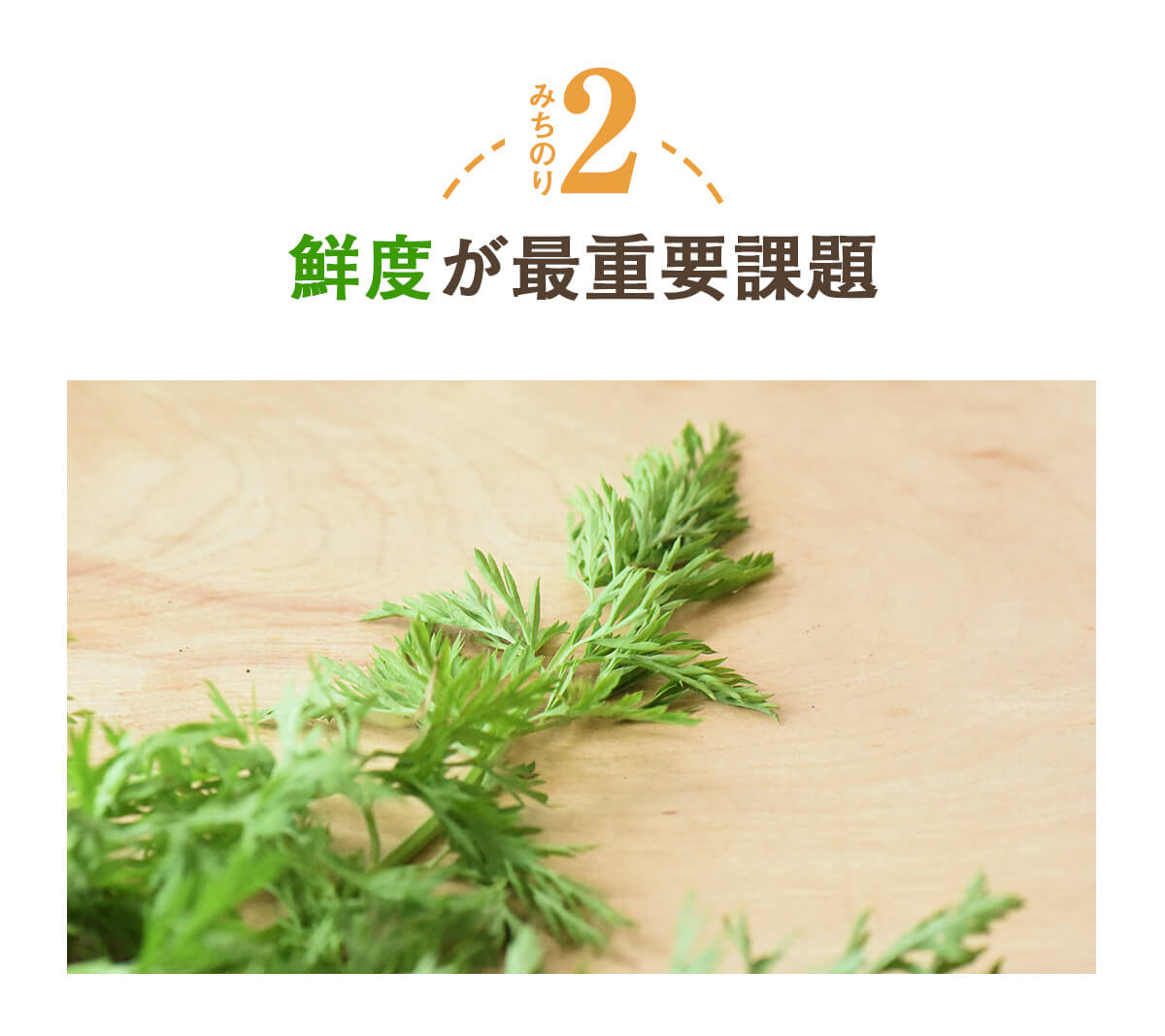 葉っぱ付きまるごと人参ジュース１箱（100ml×30パック） 冷凍 無添加