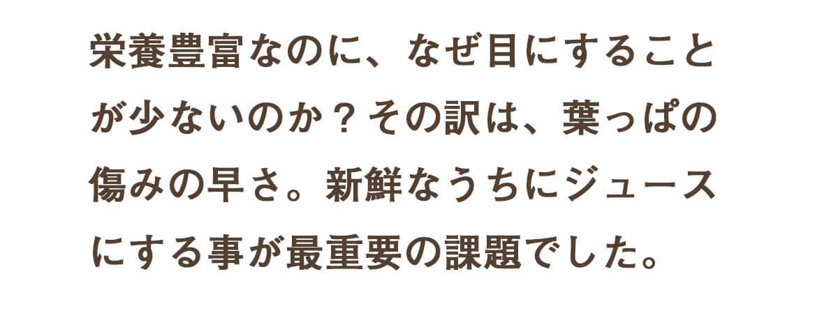 葉っぱ付きまるごと人参ジュース１箱（100ml×30パック） 冷凍 無添加