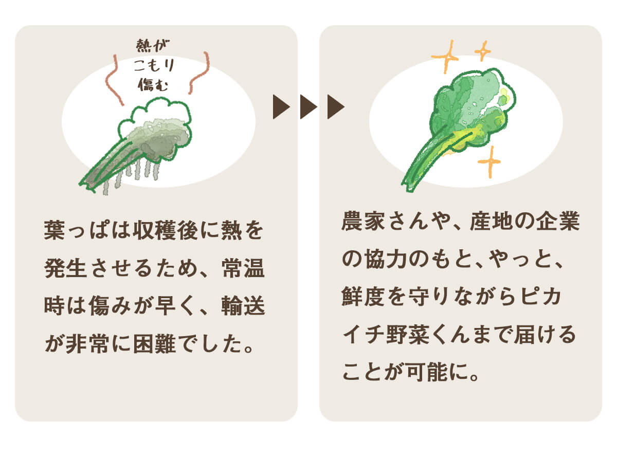 葉っぱ付きまるごと人参ジュース１箱（100ml×30パック） 冷凍 無添加