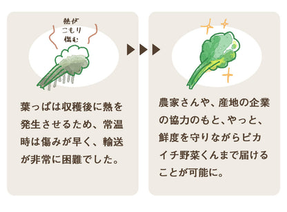 葉っぱ付きまるごと人参ジュース１箱（100ml×30パック） 冷凍 無添加