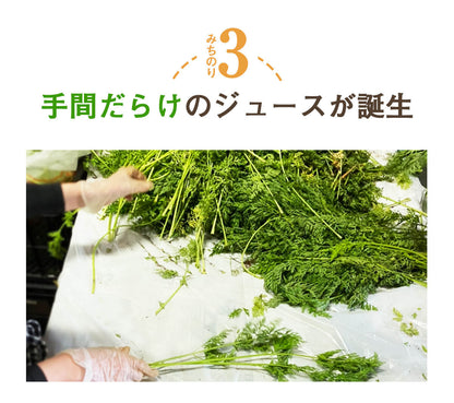 葉っぱ付きまるごと人参ジュース１箱（100ml×30パック） 冷凍 無添加