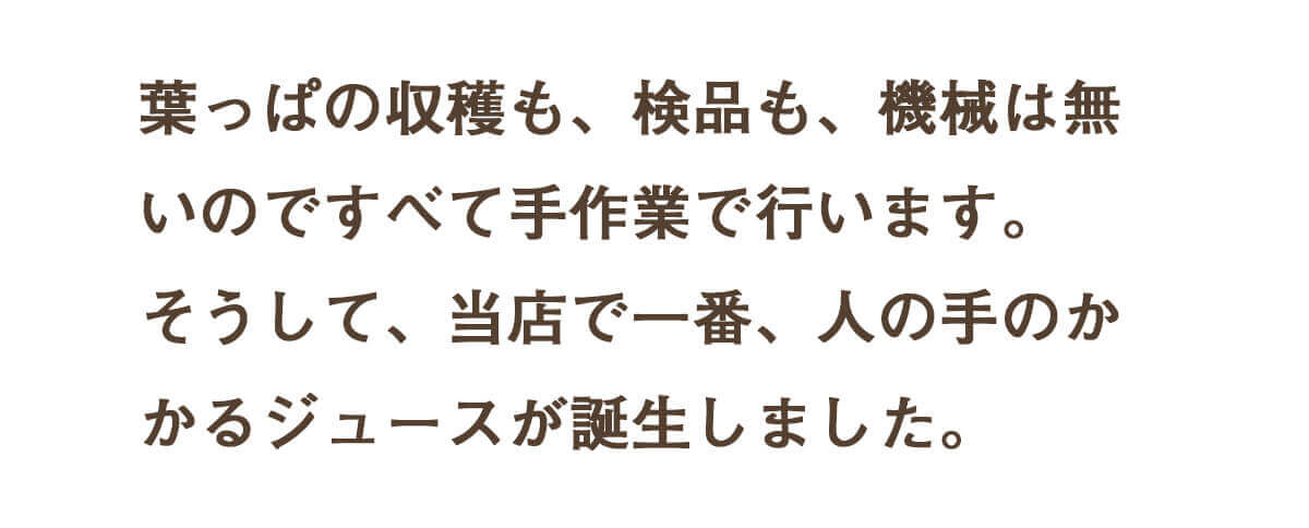 葉っぱ付きまるごと人参ジュース１箱（100ml×30パック） 冷凍 無添加