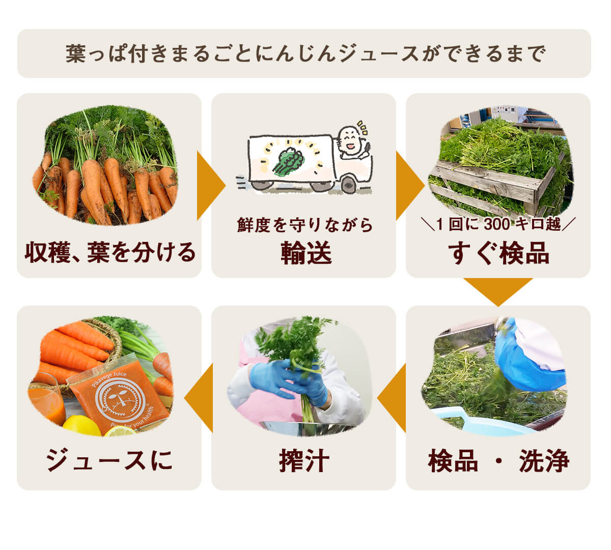 葉っぱ付きまるごと人参ジュース１箱（100ml×30パック） 冷凍 無添加