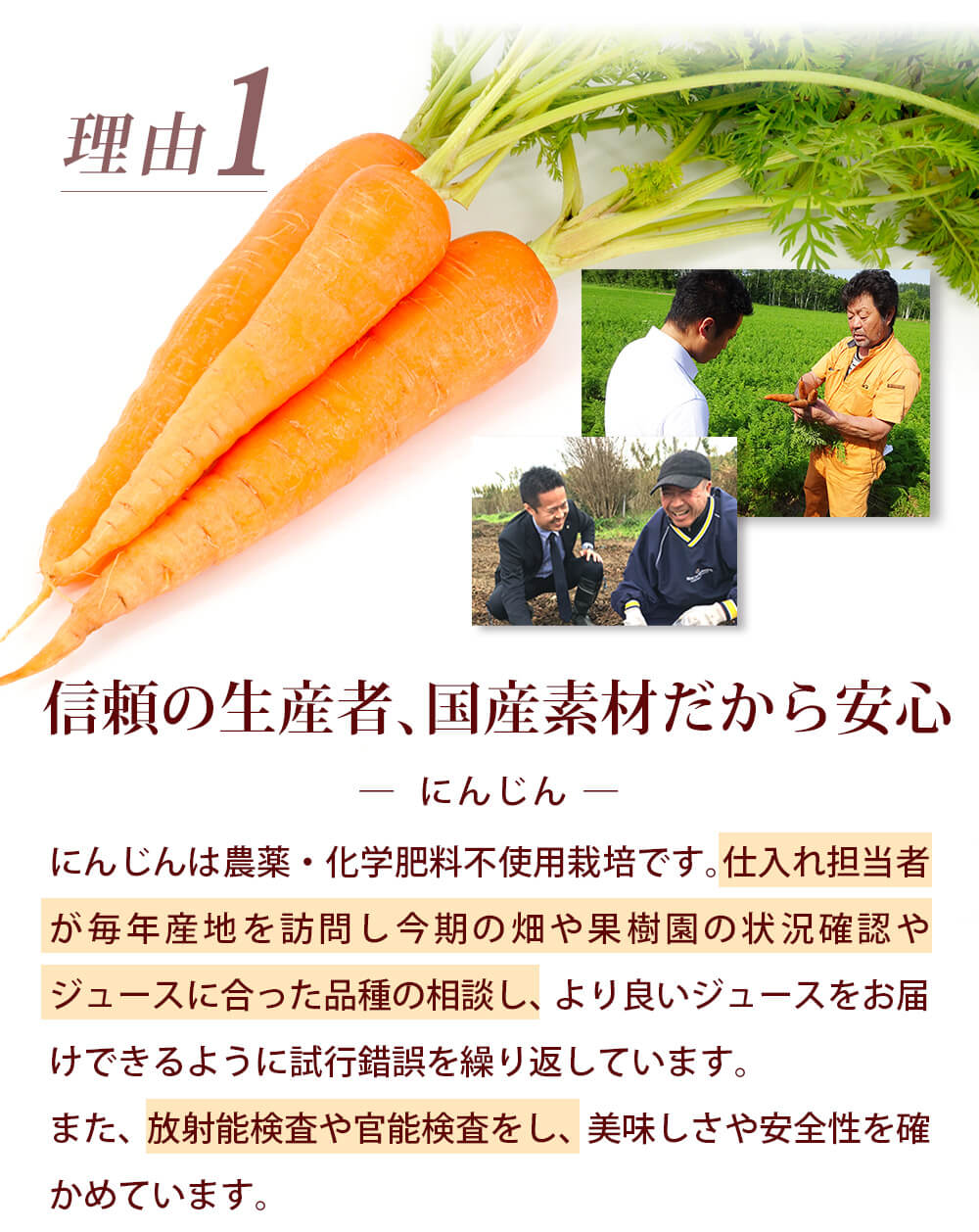 ピュアキャロップル １箱（180ml×10本）  無添加 にんじんりんごレモンジュース