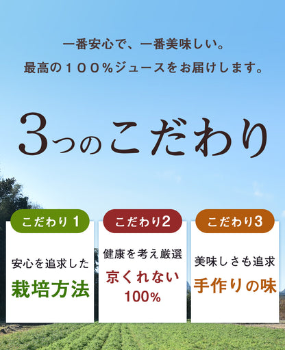 ピカベジ とくべつな真・くれない人参ジュース １箱（100ml×30パック)