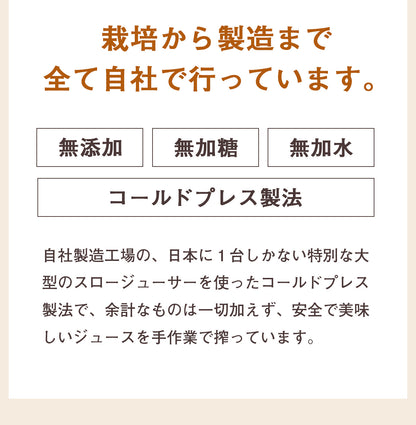 ピカベジ とくべつな真・くれない人参ジュース １箱（100ml×30パック)