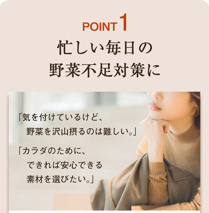 繊維入り にんじんりんごレモンジュース　1箱 （200ml×10本）