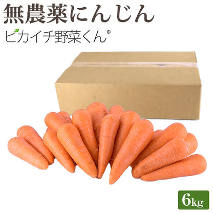 ジュース用 国産 無農薬にんじん ６kg