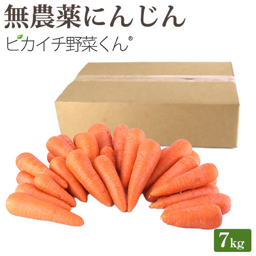 ジュース用 国産 無農薬にんじん ７kg