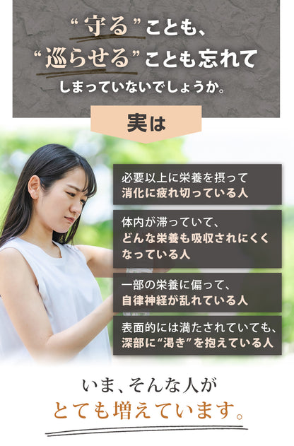 4色めぐりセット (100ml×12パック)