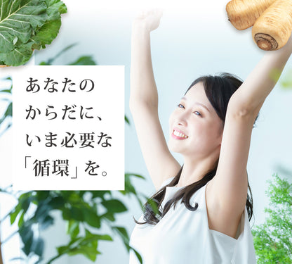 4色めぐりセット (100ml×12パック)