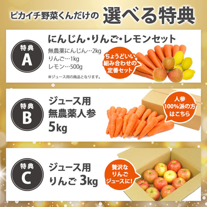 選べる特典付き！ ヒューロムスロージューサー H310A ホワイト チャコール