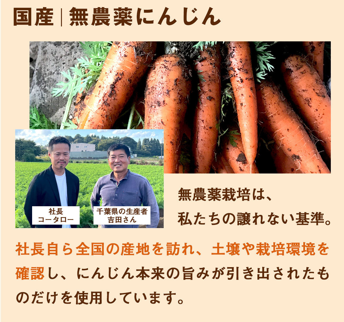 ピカべジ 人参りんごレモンジュース１箱（100ml×30パック） 冷凍 無添加 ストレート