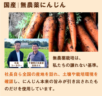 ピカべジ 人参りんごレモンジュース１箱（100ml×30パック） 冷凍 無添加 ストレート